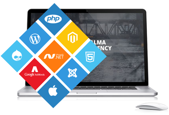 Website Development Services in Delhi Website Development Services in Delhi